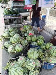 衡阳学子吃瓜事件,一场校园风波引发的反思