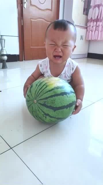 宝贝着急吃瓜,揭秘瓜界新鲜事